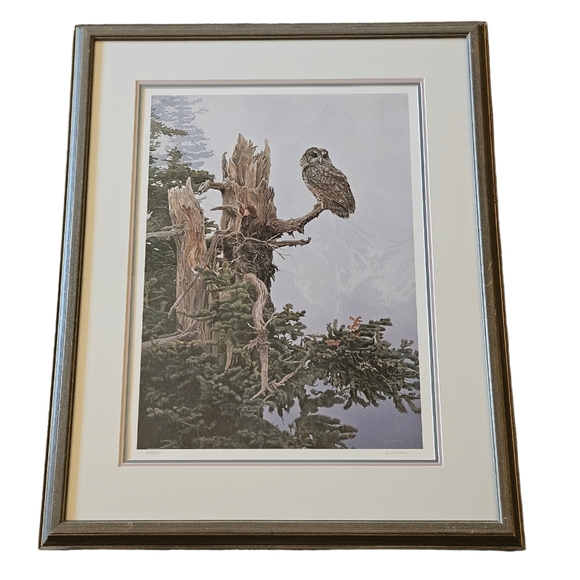 Vintage Terry Isaac Spotted Owl Framed Under Glass Print Numbered 295/950 Signed - Picture 1 of 11